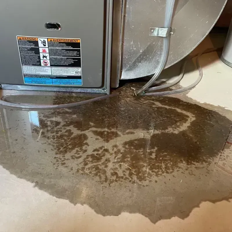 Appliance Leak Cleanup in West Ferriday, LA